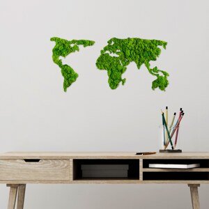 Nástěnná dekorace mechová WORLD MAP zelená